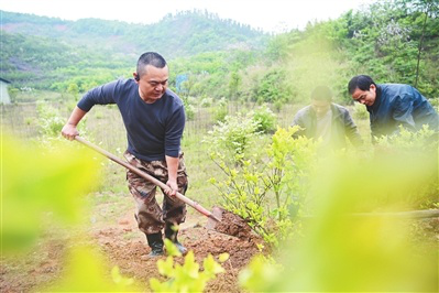 赖仕清和周冬姑：和谐家庭传佳话