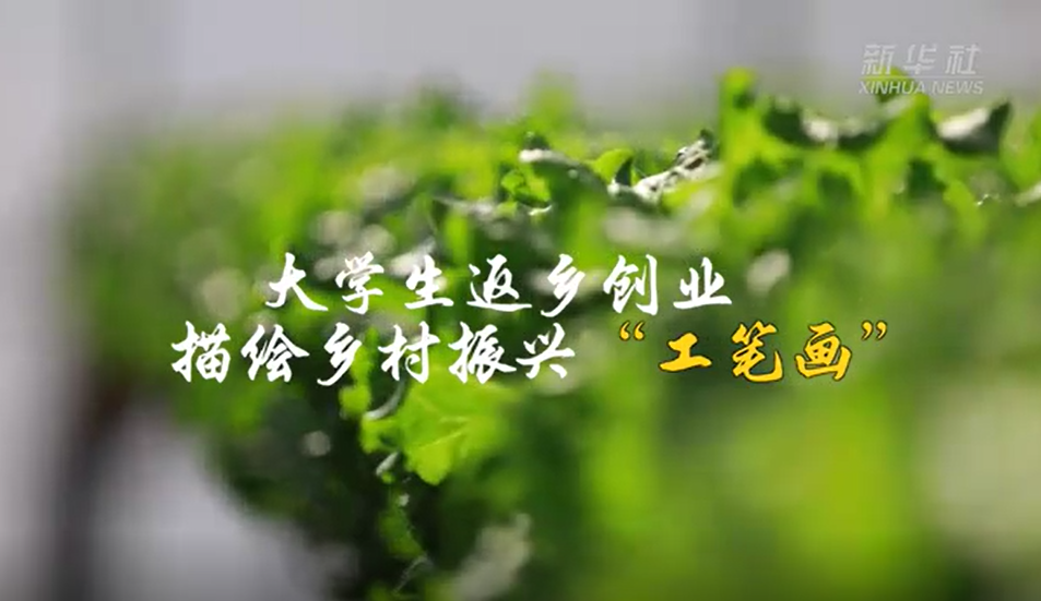 大学生返乡创业 描绘乡村振兴“工笔画”