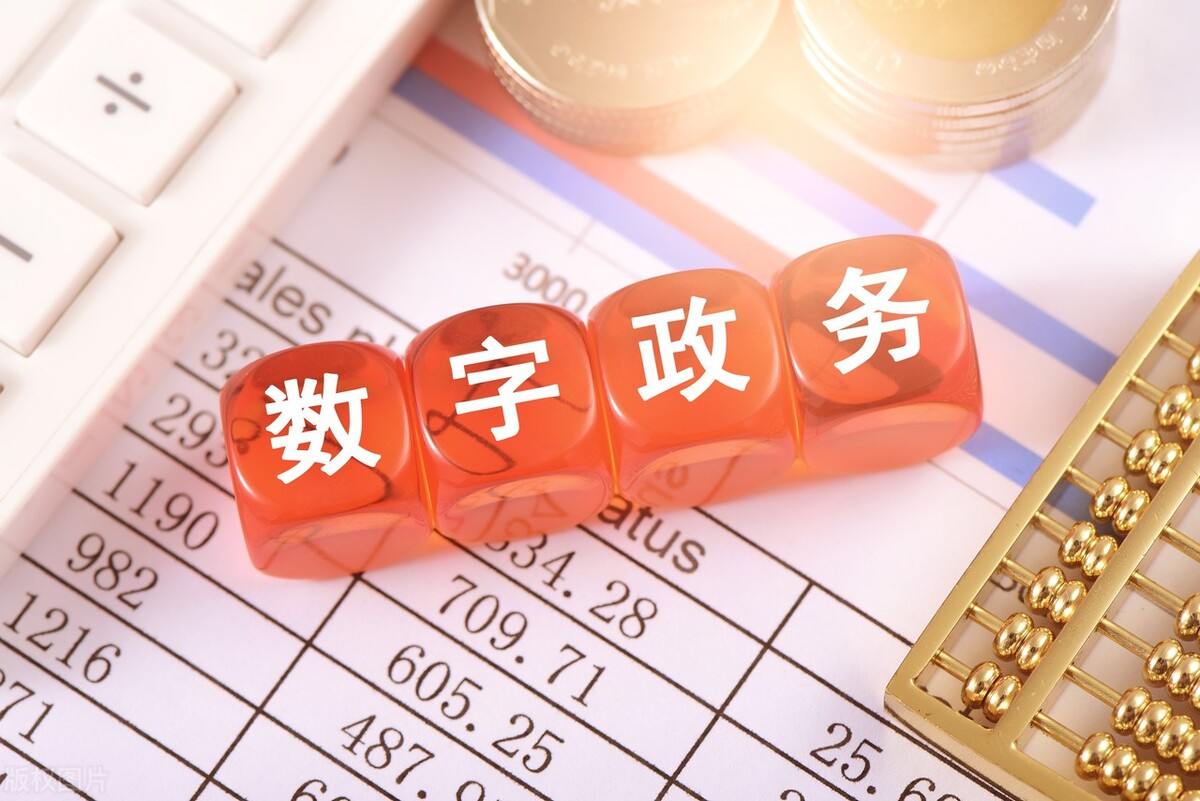 以法治思维和法治方式推进政府数字化改革